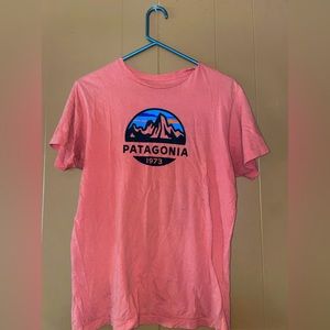 Patagonia tee